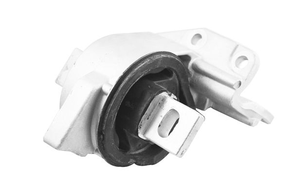 TEDGUM TED65830 Mounting, engine