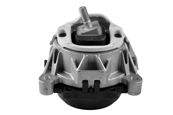 TEDGUM TED68180 Mounting, engine