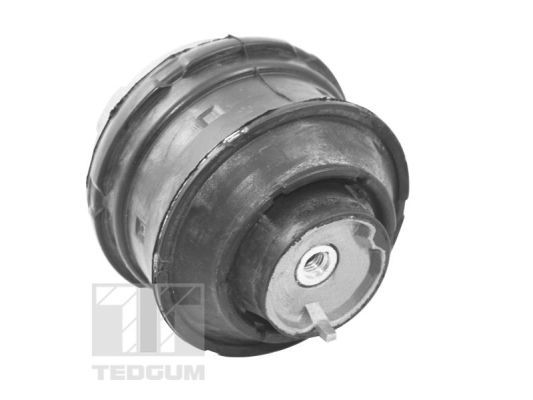 TEDGUM TED72237 Mounting, engine