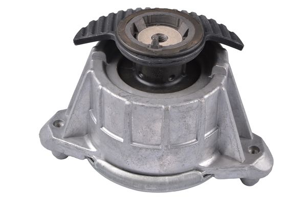 TEDGUM TED74146 Mounting, engine