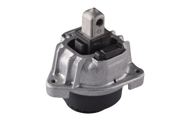 TEDGUM TED77889 Mounting, engine