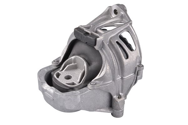 TEDGUM TED78858 Mounting, engine