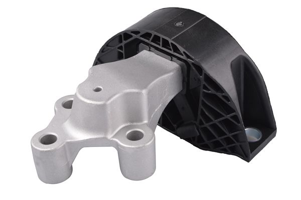 TEDGUM TED79217 Mounting, engine