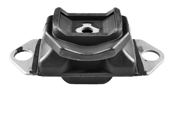 TEDGUM TED81181 Mounting, engine