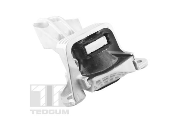 TEDGUM TED81471 Mounting, engine