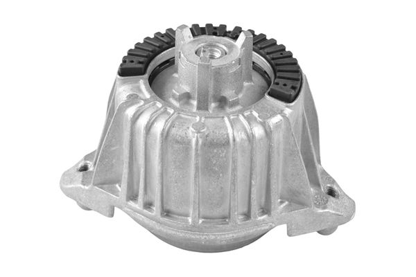 TEDGUM TED83830 Mounting, engine