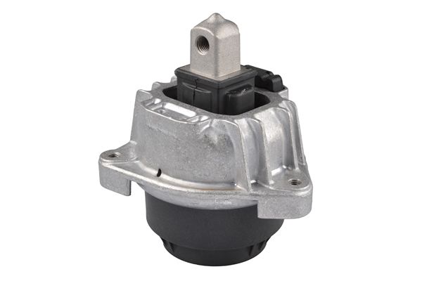 TEDGUM TED86750 Mounting, engine