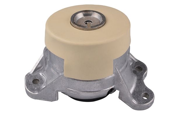 TEDGUM TED87817 Mounting, engine