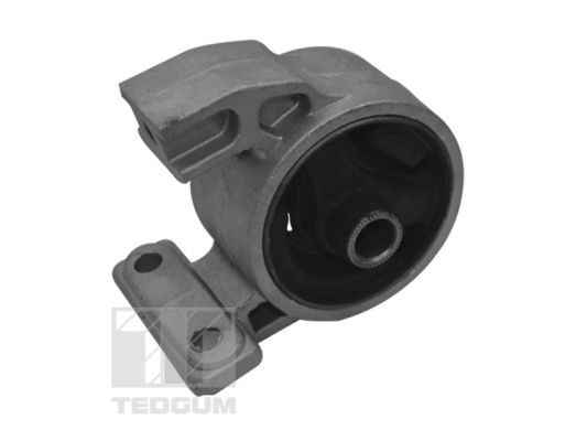 TEDGUM TED94977 Mounting, engine