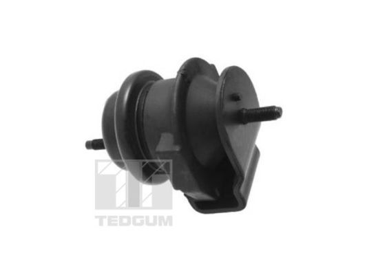 TEDGUM TED95509 Mounting, engine