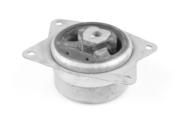 TEDGUM TED95962 Mounting, engine