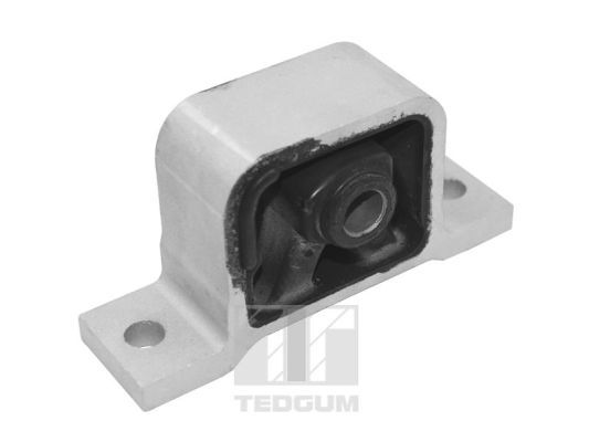 TEDGUM TED97529 Mounting, engine