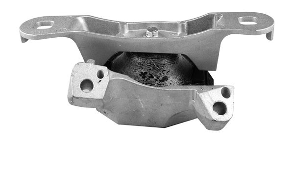 TEDGUM TED98346 Mounting, engine