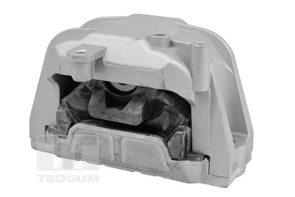 TEDGUM TED98366 Mounting, engine
