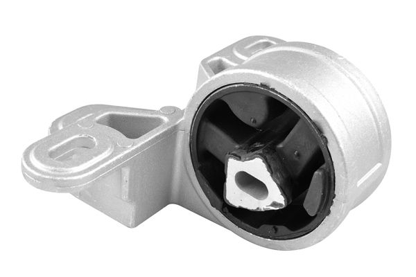 TEDGUM TED98918 Mounting, engine