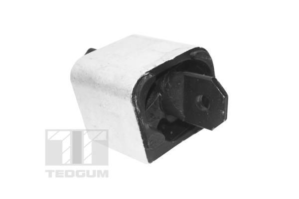 TEDGUM TED99764 Mounting, engine