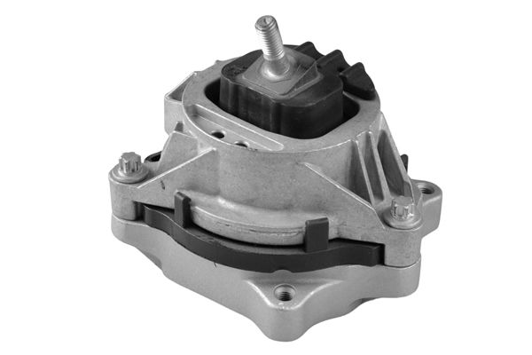 TEDGUM TED99821 Mounting, engine