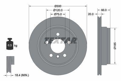 Brake Disc TEXTAR 92239703