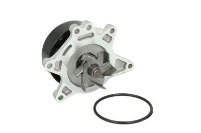 Water Pump, engine cooling THERMOTEC D12083TT