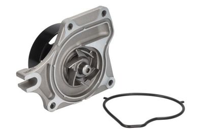 Water Pump, engine cooling THERMOTEC D13041TT