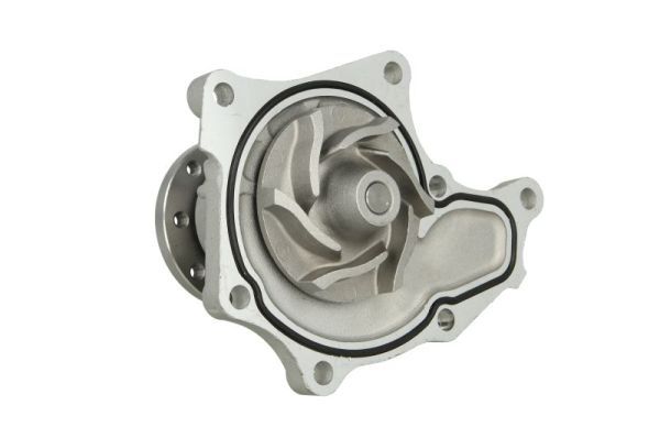 THERMOTEC D19024TT Water Pump, engine cooling