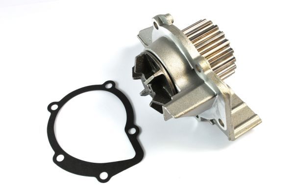 THERMOTEC D1F061TT Water Pump, engine cooling