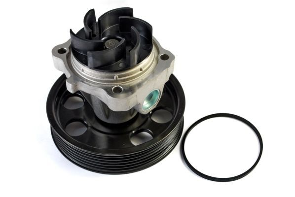 THERMOTEC D1F074TT Water Pump, engine cooling