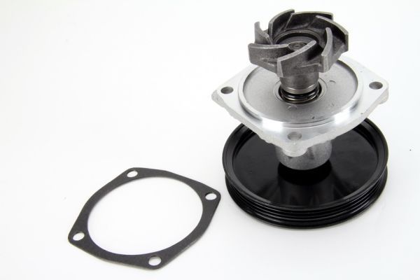 THERMOTEC D1H015TT Water Pump, engine cooling