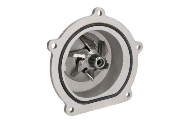 THERMOTEC D1K019TT Water Pump, engine cooling
