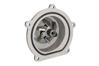 Water Pump, engine cooling THERMOTEC D1K019TT