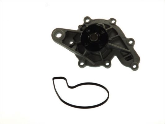 THERMOTEC D1M043TT Water Pump, engine cooling