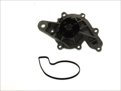 Water Pump, engine cooling THERMOTEC D1M043TT