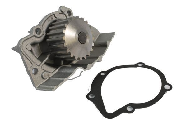 THERMOTEC D1P020TT Water Pump, engine cooling