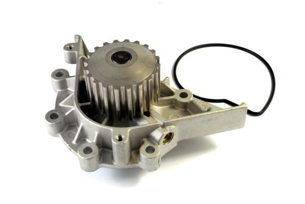 THERMOTEC D1P040TT Water Pump, engine cooling