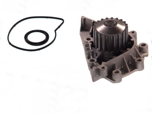 THERMOTEC D1P042TT Water Pump, engine cooling