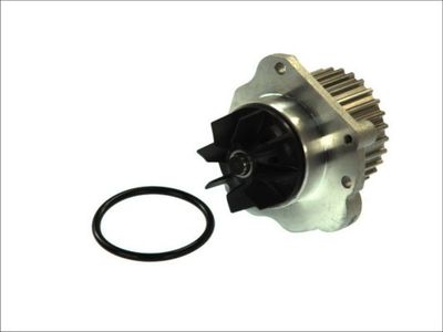 Water Pump, engine cooling THERMOTEC D1P044TT