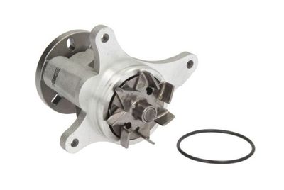 Water Pump, engine cooling THERMOTEC D1P049TT