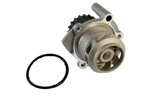 THERMOTEC D1W038TT Water Pump, engine cooling