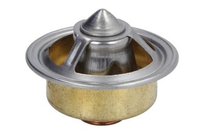 Thermostat, coolant THERMOTEC D2AG005TT