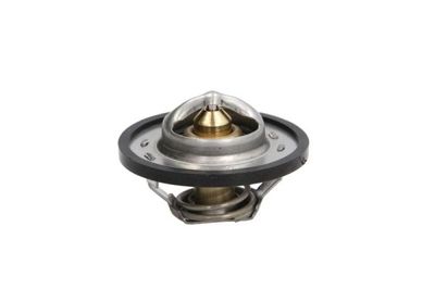 Thermostat, coolant THERMOTEC D2C001TT