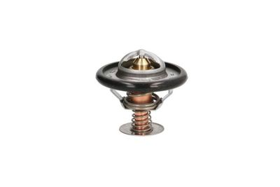 Thermostat, coolant THERMOTEC D2C002TT