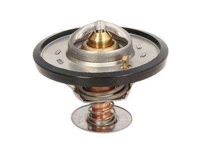 Thermostat, coolant THERMOTEC D2CA001TT