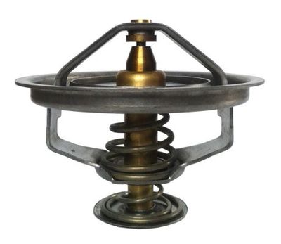 Thermostat, coolant THERMOTEC D2FE001TT