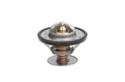 Thermostat, coolant THERMOTEC D2G001TT