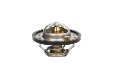 Thermostat, coolant THERMOTEC D2G004TT