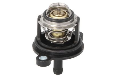 Thermostat, coolant THERMOTEC D2G020TT