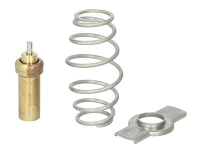 Seal, thermostat THERMOTEC D2IV006TT