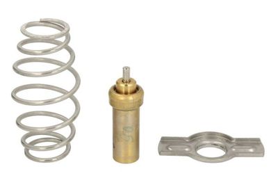 Thermostat, coolant THERMOTEC D2IV008TT