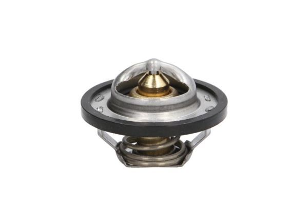 THERMOTEC D2R001TT Thermostat, coolant