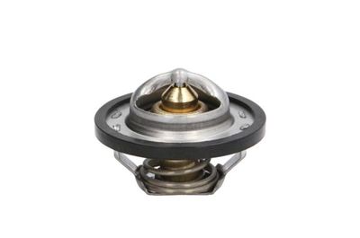 Thermostat, coolant THERMOTEC D2R001TT